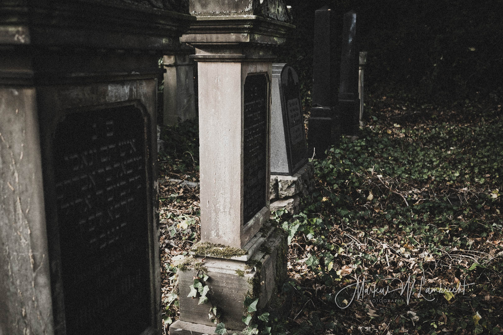 Steinheim (Westfalen), Jüdischer Friedhof